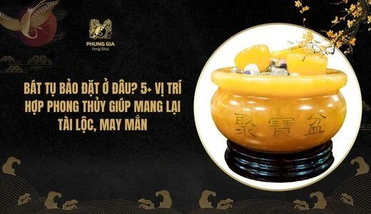Bát Tụ Bảo đặt ở đâu? 5+ Vị trí hợp phong thủy giúp mang lại tài lộc, may mắn