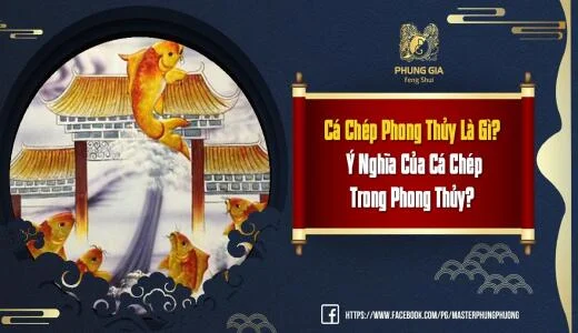 Cá Chép Phong Thủy Là Gì? Ý Nghĩa Của Cá Chép Trong Phong Thủy?