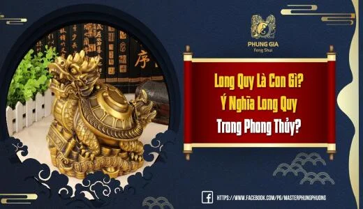 Long Quy Là Con Gì? Ý Nghĩa Long Quy Trong Phong Thủy?