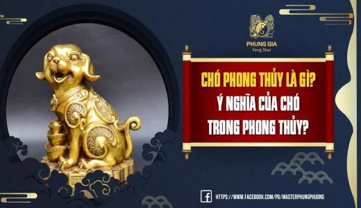 Chó Phong Thủy Là Gì? Ý Nghĩa Của Chó Trong Phong Thủy?