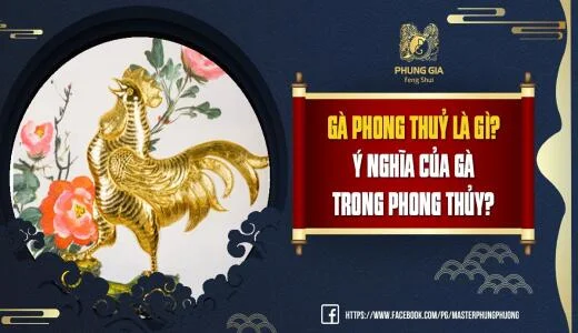 Gà Phong Thuỷ Là Gì? Ý Nghĩa Của Gà Trong Phong Thủy?