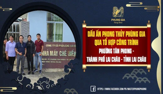 Hồ Sơ Phong Thủy Phùng Gia Tổ Hợp Sản Xuất - Kinh Doanh Chè Lai Châu