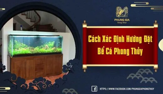 Xác Định Hướng Đặt Bể Cá Phong Thủy Theo Tuổi Và Mệnh Tiếp Thêm Vận May