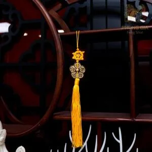 hoa-mai-dai-cat