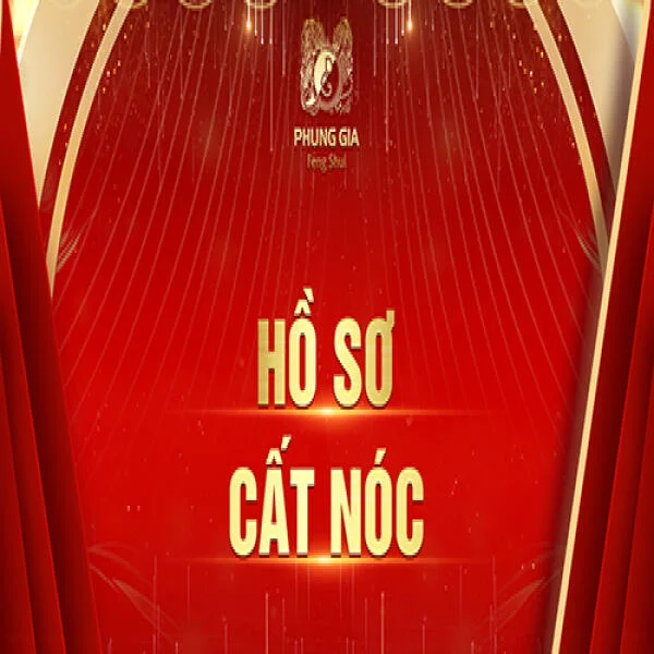 cat-noc