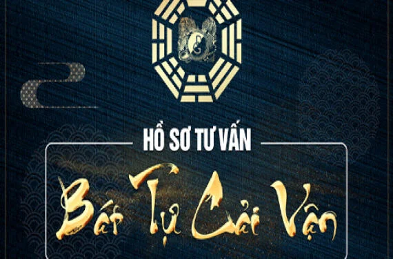 ho-so-bat-tu-cai-van-10-nam