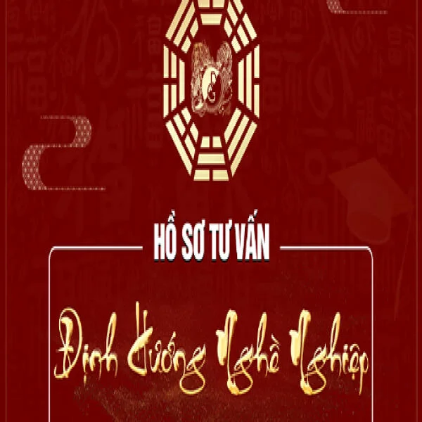 ho-so-dinh-huong-nghe-nghiep