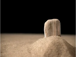 frame-12021-2-2
