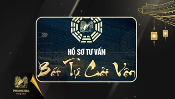 p>","input_information":null,"input_information_repeater":"W10=","profile_content":null,"profile_content_repeater":"W10=","sample_profile":null,"seo_point":0,"primary_keyword":"","secondary_keyword":"","google_index":"na","status":1,"order":9999,"created_at":"2025-11-24T07:05:12