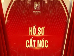 cat-noc