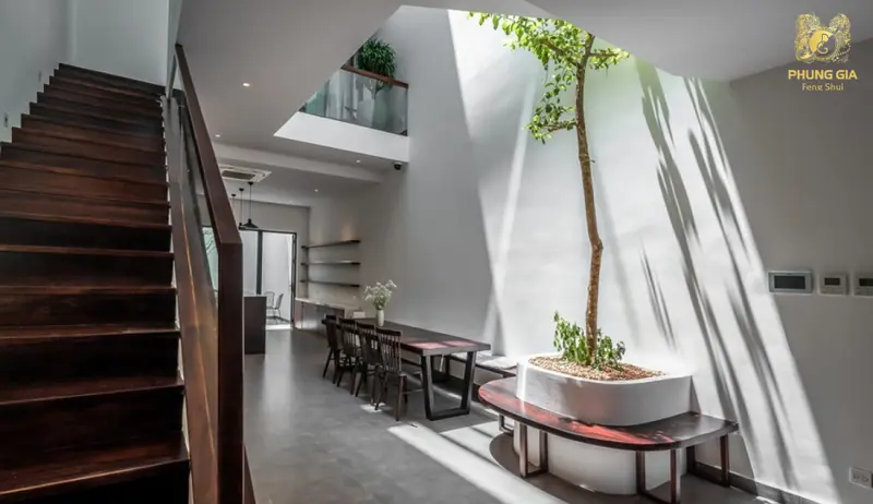  Ánh sáng và gió tự nhiên lưu thông