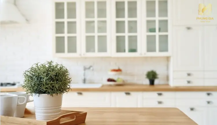 Một chậu cây xanh là giải pháp đơn giản hóa giải Thủy - Hỏa xung khắc