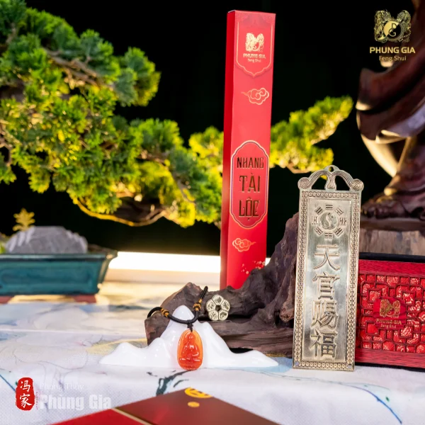 bo-qua-tet-ho-menh-binh-an-5