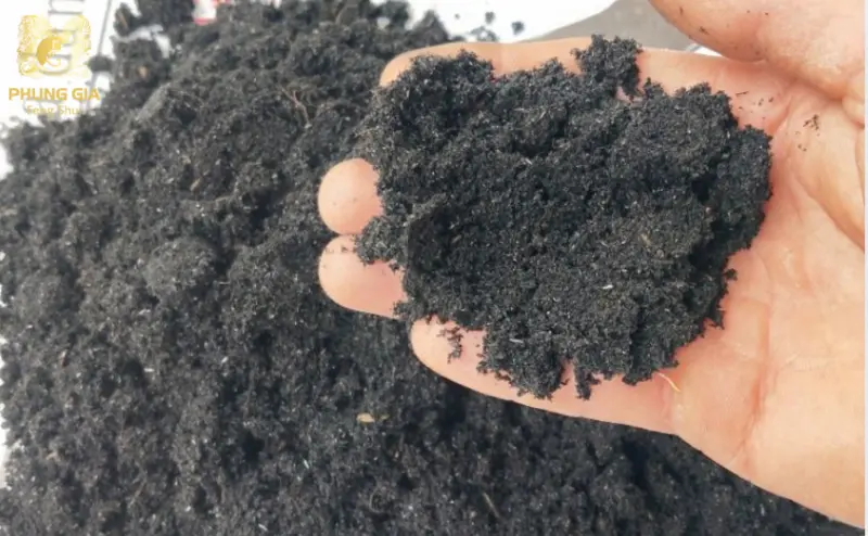 Tro nếp cần được sàng lọc kỹ càng để loại bỏ các tạp chất