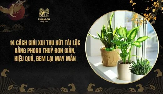 14 Cách giải xui thu hút tài lộc theo phong thủy, giúp cải vận, tăng may mắn 2026