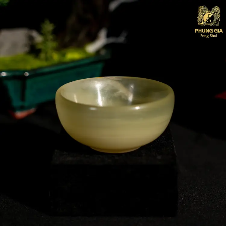 Bảo Bình Thủy là vật phẩm phong thủy hàng đầu có công năng trấn trạch phương vị xấu và hóa giải sát khí tại nhà vệ sinh