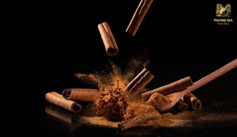 Quế thơm nơi cửa, nơi góc, nơi bàn thờ giúp thanh lọc không gian, đón vận may