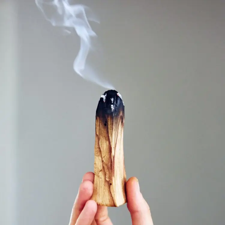 Đốt Palo Santo vừa giúp thư giãn, vừa thanh tẩy năng lượng tiêu cực
