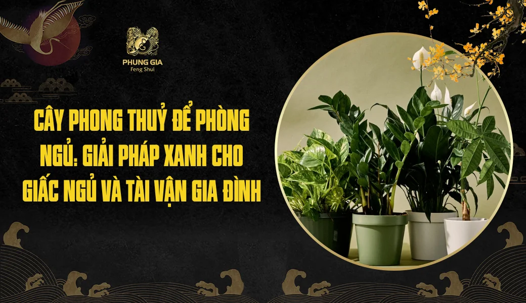 Cây phong thuỷ để phòng ngủ: Giải pháp xanh cho giấc ngủ và tài vận gia đình