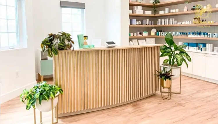 Mỗi loại cây phù hợp với tuổi, mệnh và vị trí đặt khác nhau sẽ góp phần kích hoạt vượng khí, chiêu mời tài lộc, tăng thêm may mắn, sức khỏe và sự thịnh vượng cho gia chủ