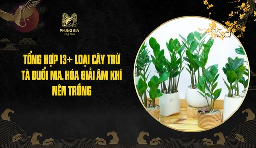 Tổng hợp 13+ loại cây trừ tà đuổi ma, hóa giải âm khí nên trồng