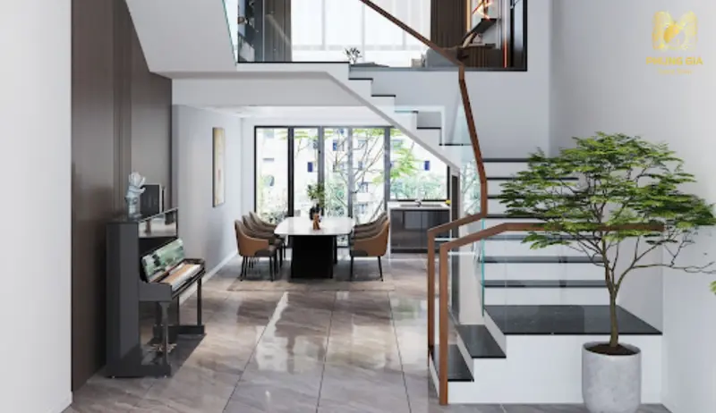 Chậu cây phong thủy 