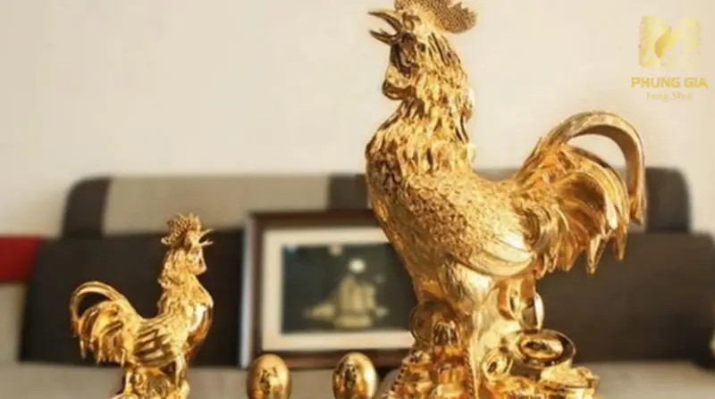  Gà trống phong thủy liên quan đến chính kh