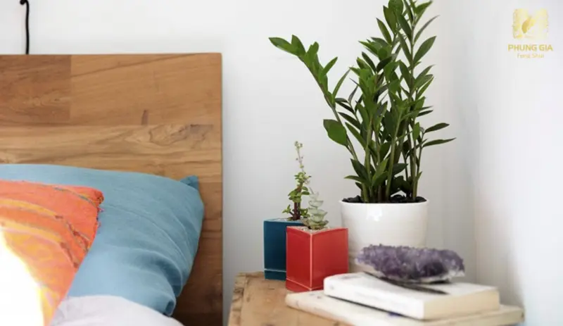  Gia chủ có thể đặt chậu vài cây nhỏ