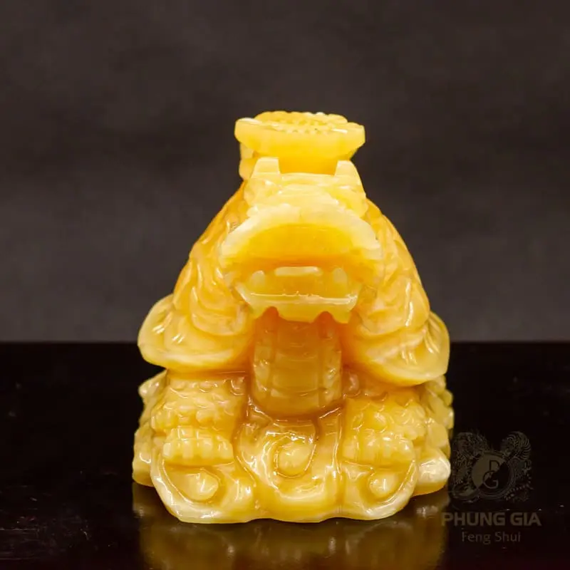 gia-chu-nen-tham-khao-su-tu-van-tu-phong