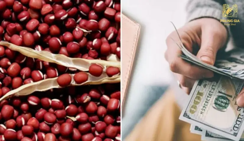 Giữ vài hạt đậu đỏ trong ví, mẹo nhỏ kích hoạt tài lộc, thu hút may mắn và quý nhân phù trợ