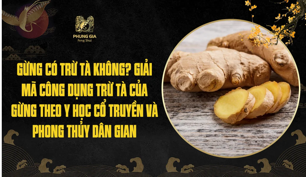 Gừng có trừ tà không? Giải mã công dụng trừ tà của gừng theo Y học cổ truyền và Phong thủy dân gian