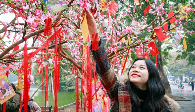  Hái lộc đầu xuân