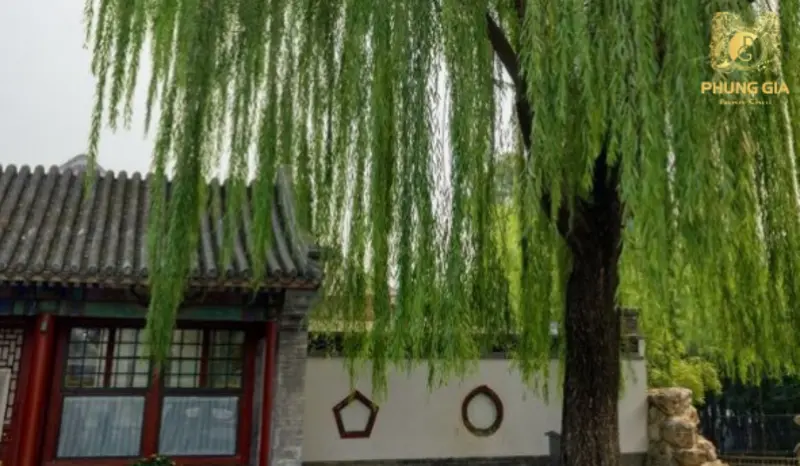  Làm mềm dòng khí xung sát