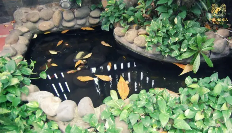 Ao hồ sau nhà cần bố trí hợp phong thủy, thu hút tài lộc, cân bằng năng lượng và bảo vệ hậu vận gia chủ