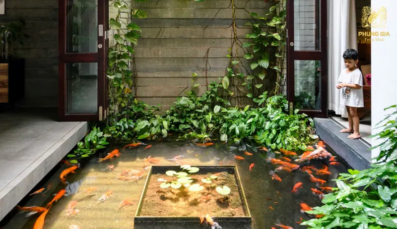 Nhà trước thoáng, sau vững, đón tài lộc, giữ hậu vận ổn định