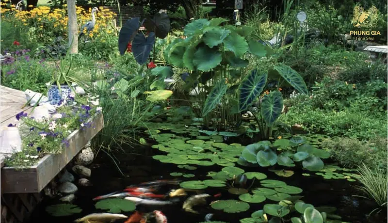 Trồng cây xanh và thuỷ sinh