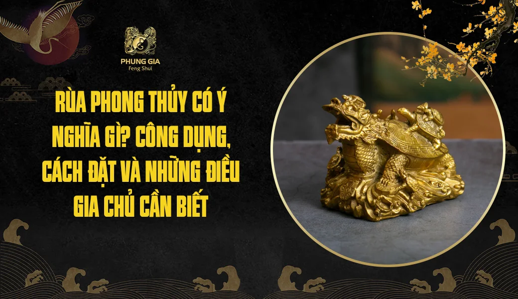 Rùa phong thủy có ý nghĩa gì? Công dụng, cách đặt và những điều gia chủ cần biết