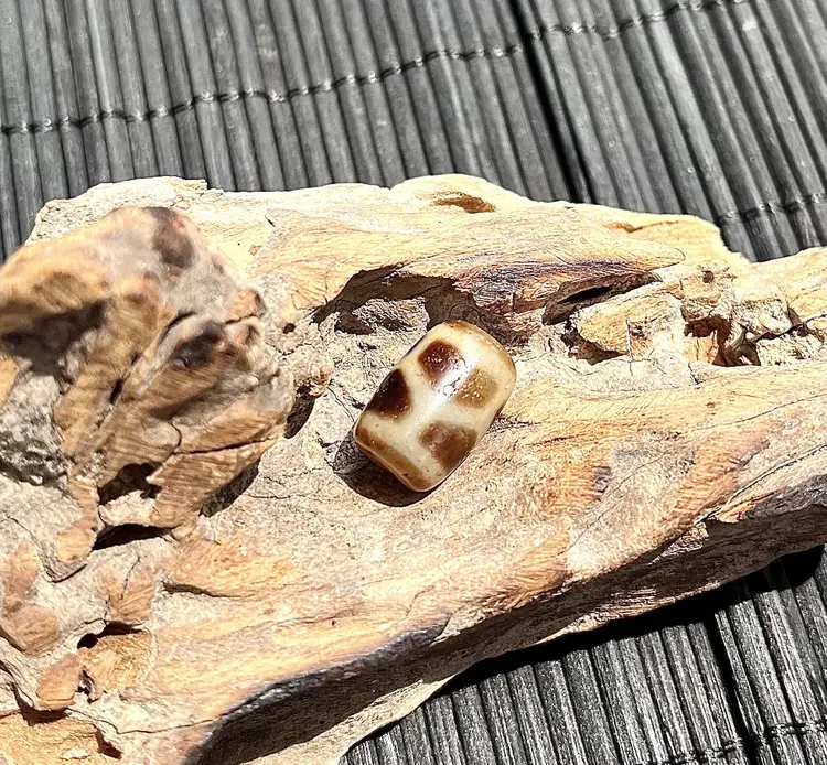 Nguồn năng lượng dồi dào, nuôi dưỡng thân – tâm – trí trường thọ