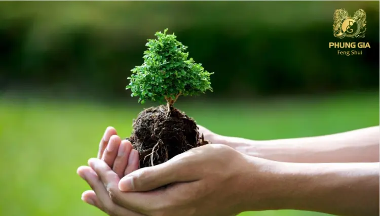 Hành Mộc tượng trưng cho cây cối, sự nảy nở, sinh sôi, thể hiện sức sống dồi dào và ý chí vượt qua khó khăn