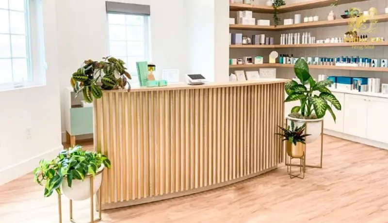 Ứng dụng phong thủy vào nơi làm việc