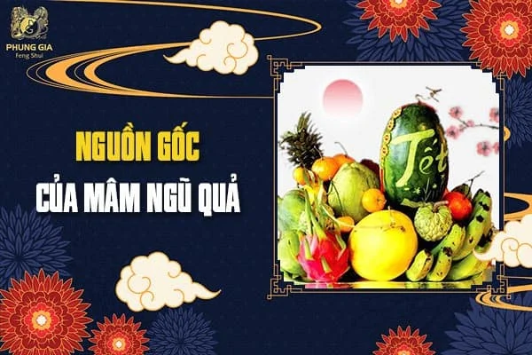 Nguồn Gốc Của Mâm Ngũ Quả