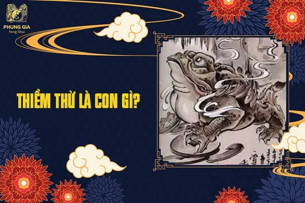Thiềm Thừ Là Con Gì