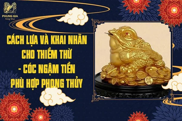 Cách Lựa Và Khai Nhãn Cho Thiềm Thừ – Cóc Ngậm Tiền Phù Hợp Phong Thủy