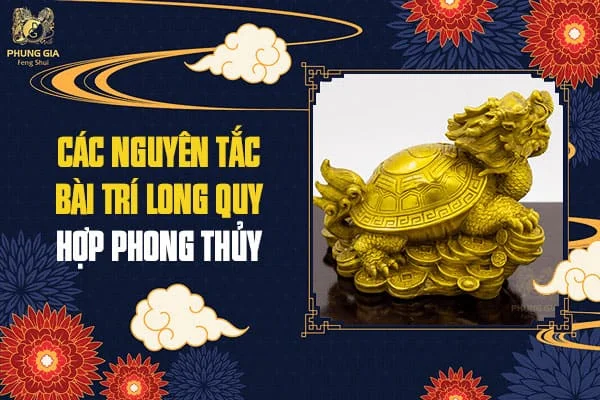 Các Nguyên Tắc Bài Trí Long Quy Hợp Phong Thủy
