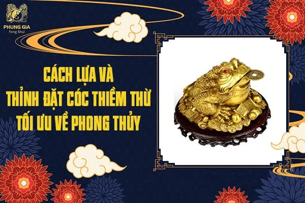 Cách Lựa Và Thỉnh Đặt Cóc Thiềm Thừ Tối Ưu Về Phong Thủy