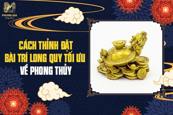 Cách Thỉnh Đặt – Bài Trí Long Quy Tối Ưu Về Phong Thủy