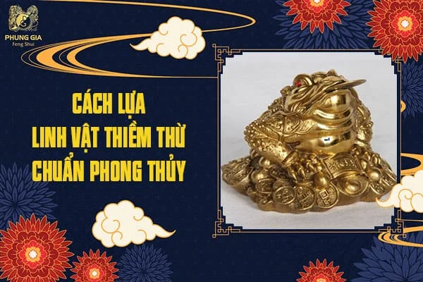 Cách Bày Thiềm Thừ – Cóc Ngậm Tiền Tối Ưu Về Phong Thủy