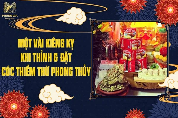 Một vài kiêng kỵ khi thỉnh & đặt Cóc Thiềm Thừ Phong Thủy
