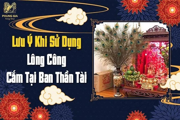Lưu Ý Khi Sử Dụng Lông Công Cắm Tại Ban Thần Tài