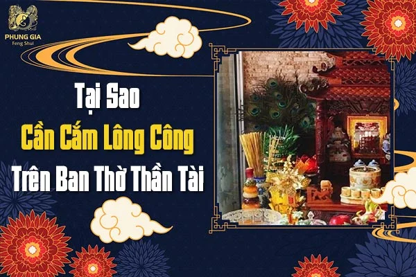 Tại Sao Cần Cắm Lông Công Trên Ban Thờ Thần Tài